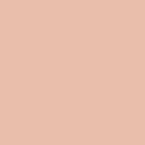 9801 Pink Cup - Farrow & Ball