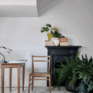 Ammonite No.274 - Farrow & Ball