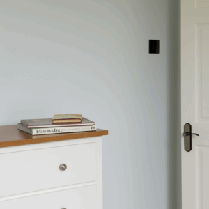 Cabbage White No.269 - Farrow & Ball