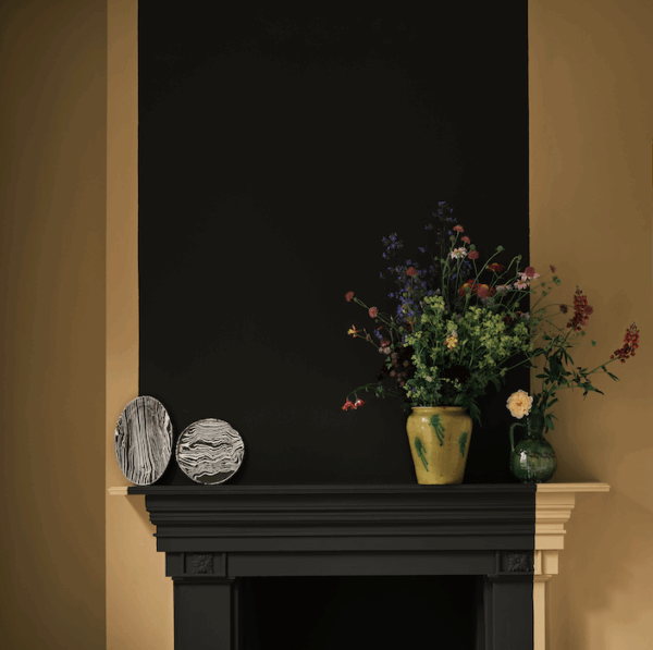 Cane 53 – Image 2