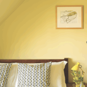 Ciara Yellow No.73 - Farrow & Ball