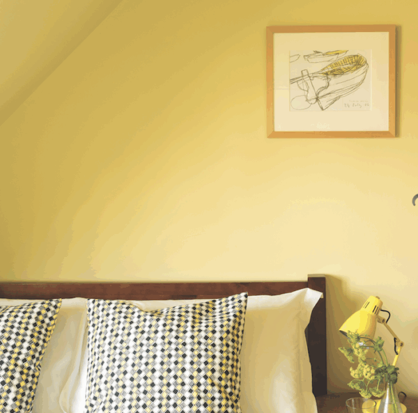 Ciara Yellow 73 – Image 2