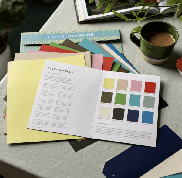 Conseil couleur showroom Bordeaux