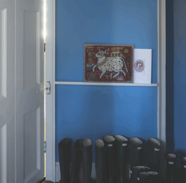 Cook's Blue 237 – Image 2