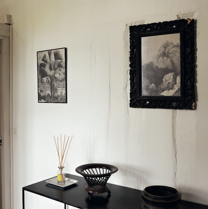 Dimity 2008 – Image 2