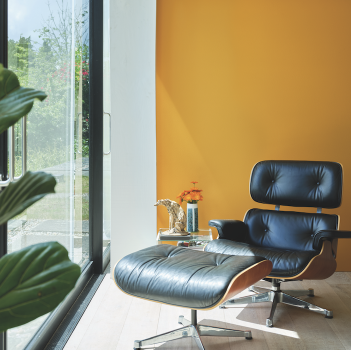 Dutch Orange W76 – Image 2