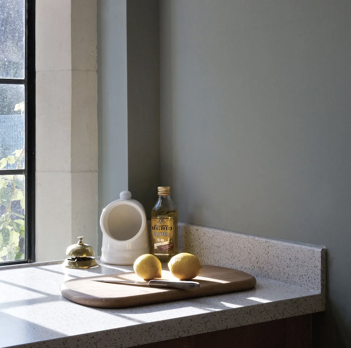 Pigeon 25 – Image 2