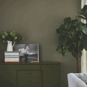 Treron No.292 - Farrow & Ball