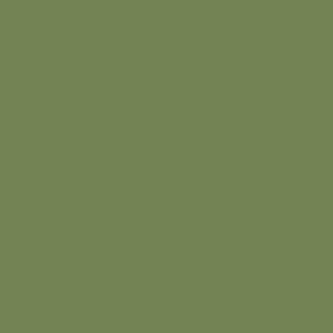 W056 Sap Green - Farrow & Ball