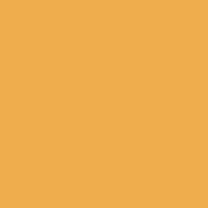 W076 Dutch Orange - Farrow & Ball