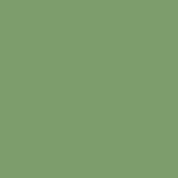 CB6 Raw Tomatillo