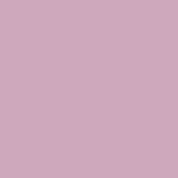 CB3 Shallot
