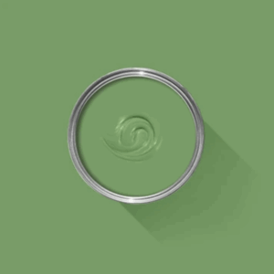 CB6 Raw Tomatillo