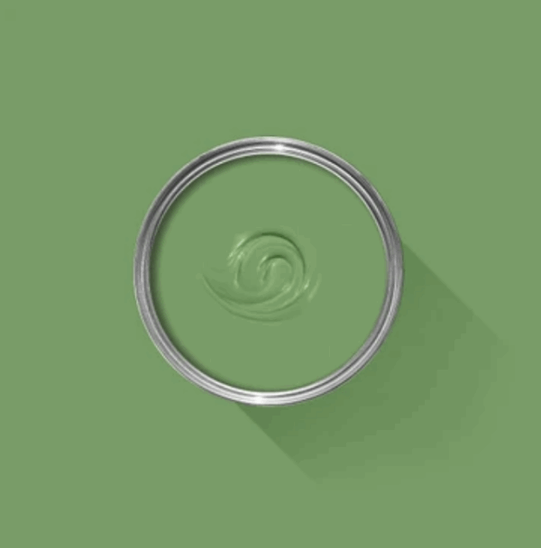 CB6 Raw Tomatillo