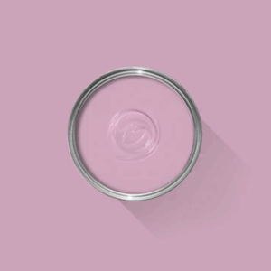 CB3 Shallot